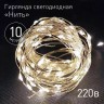 Гирлянда ЭРА ENIN -10NW LED Нить 10 м теплый свет 220V B0047964