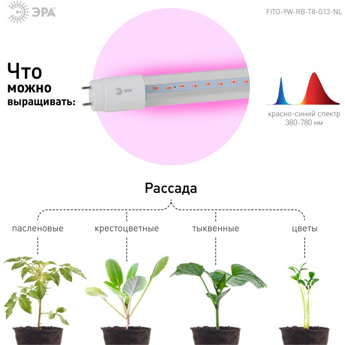 Фитолампа для растений светодиодная ЭРА FITO-9W-RB-Т8-G13-NL красно-синего спектра 9 Вт Т8 G13 B0042986